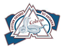 Partner logo 3