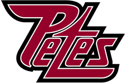 Partner logo 3