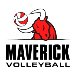 Partner logo 13
